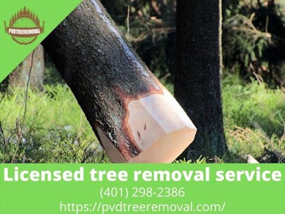 Licensed tree removal service near me Warwick RI