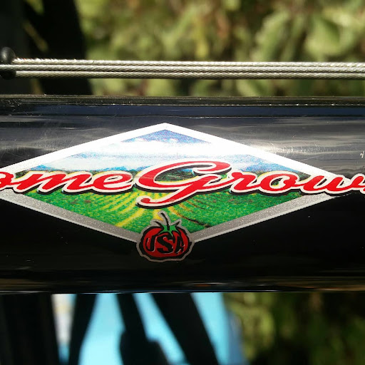 MJS Bicycle - Visual