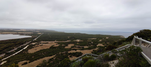 Pelican Lagoon Conservation Park - Thumbnail