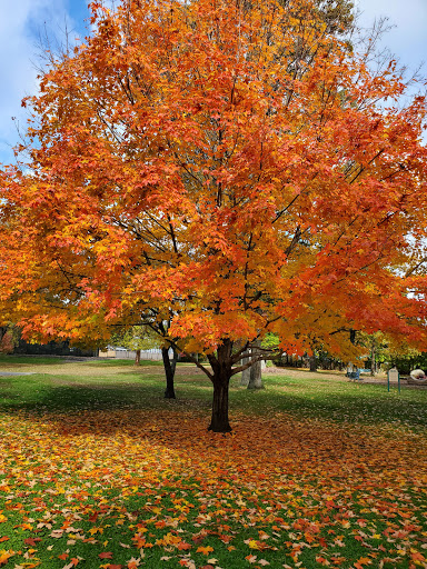 Frothingham Park - Visual