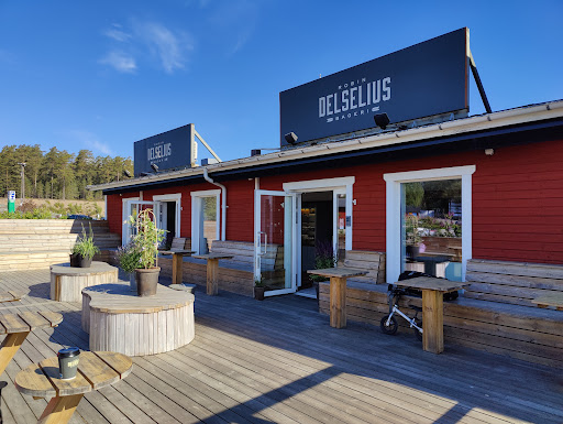 Robin Delselius Gallery - Sweden