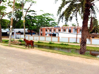 Photos of Kalapara Thana