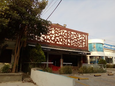 Photos of El Celler