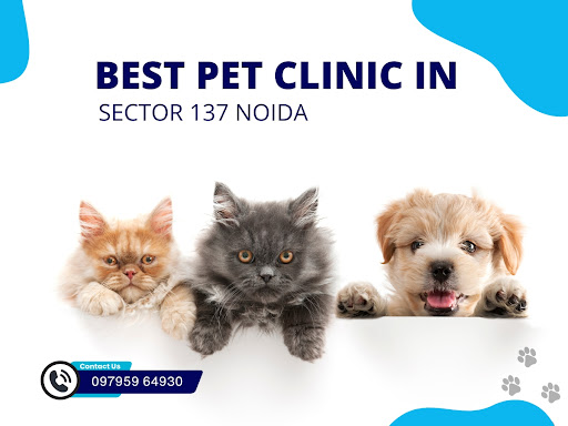 Best Pet Clinics in Sector 137 Noida post image