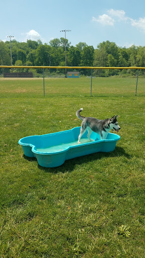 Hancock County Dog Park - Thumbnail