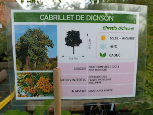 Photo n°23 de le chant des arbres à Le Fay (Pépinière)