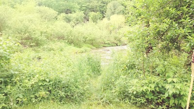 Photos of Willow Bay Campground