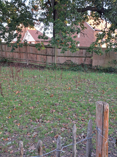 The Old Apple Shed - Thumbnail