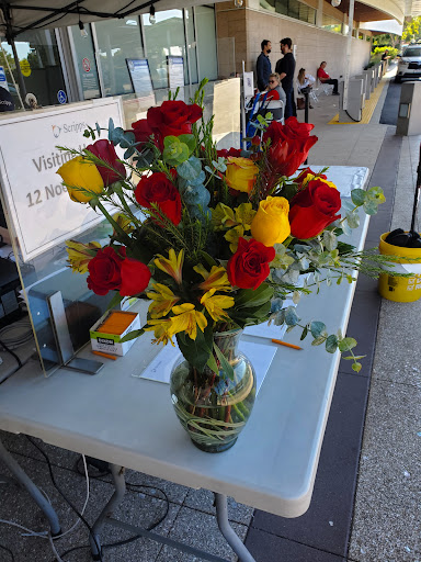 Nina's Flowers - Thumbnail