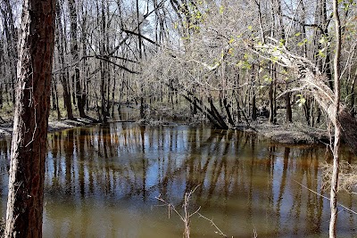 Congaree Creek Heritage Preserve