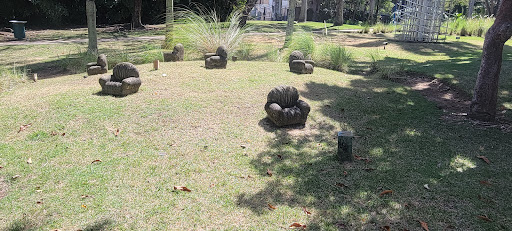 Jardín Botánico del Museo de Arte de Puerto Rico - Thumbnail