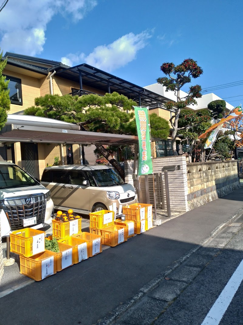 はっさく.いよかん生産者直売所(無農薬有機栽培)