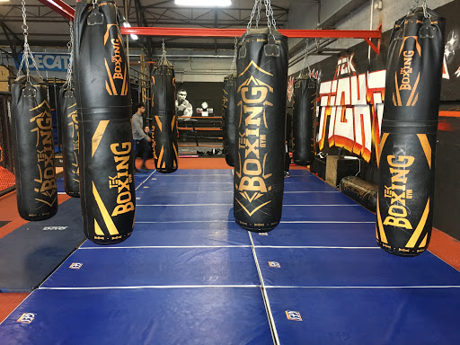 Tek Gym - Thumbnail