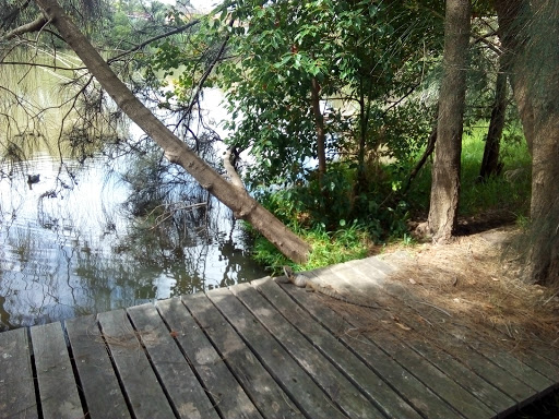 Eucalyptus Circuit Reserve Playground - Thumbnail