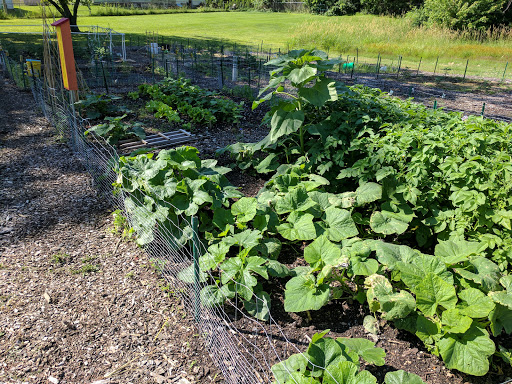 Rock River Community Garden - Thumbnail