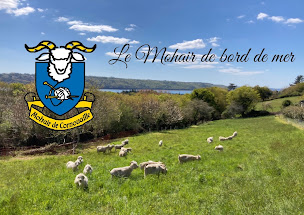 Photo n°1 de Mohair de Cornouaille à Hôpital-Camfrout (Ferme d'élevage)