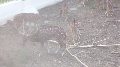 Photos of Taman Satwa