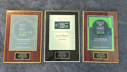 Hudson Aesthetics MD Gallery - United States