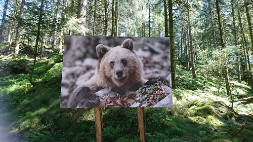 Les Sentiers De La Photo - Thumbnail