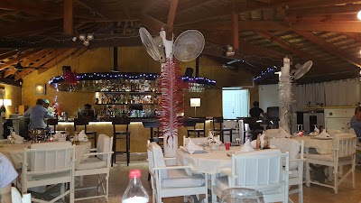 Photos of Grill Chez Sandro