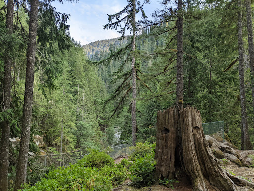 Nooksack Falls - Visual
