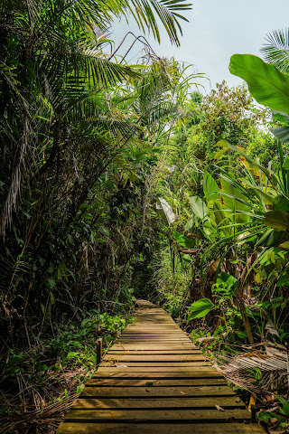 Barú lodge & Tours by null