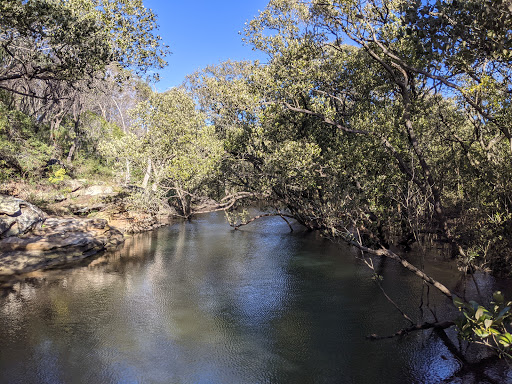 Lane Cove Mangrove Walkway - Thumbnail