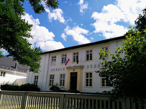 Schele-Schule - Visual