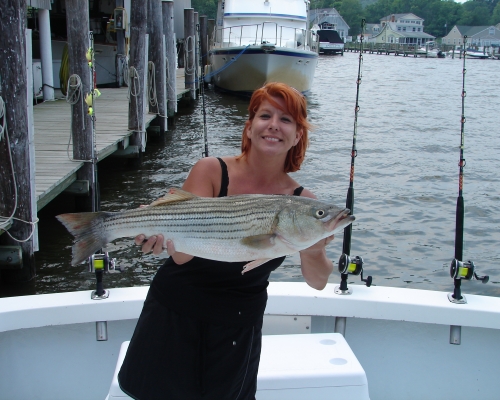 My Girl Charters