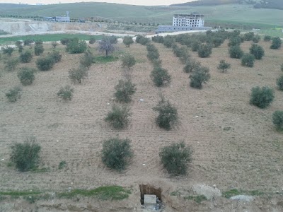 park