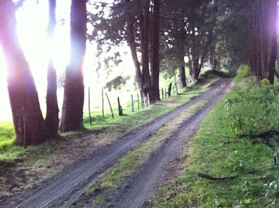 Photos of Finca Retos del Iraz&uacute;