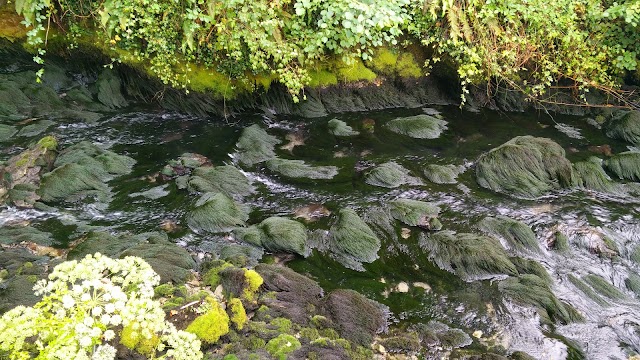 La Fontaine de Fontestorbes