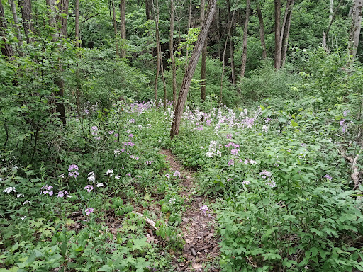 Botsford Nature Preserve Gallery - United States