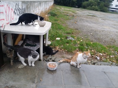 Photos of Grammiko Park
