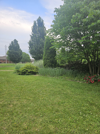 CJ's Park - Visual