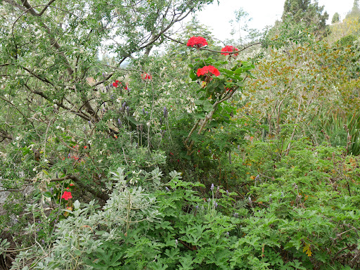 AUTarcaMatricultura - Permaculture Masterclass Guided Tour - only with reservation - Thumbnail