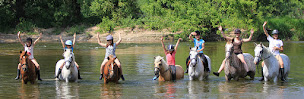 Photo n°4 de Randonnez Cheval Ô Centre à Lamotte-Beuvron (Centre de randonnée équestre)