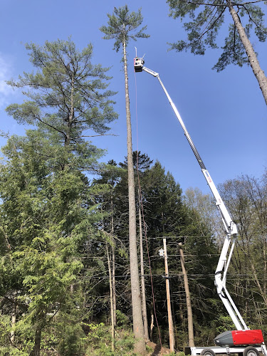 Fox Tree & Landsape Services