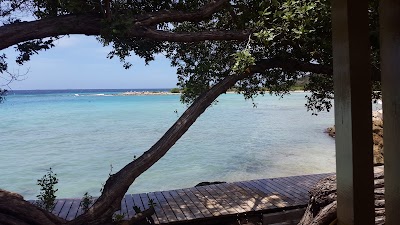 Photos of Dive Center Scuba Do