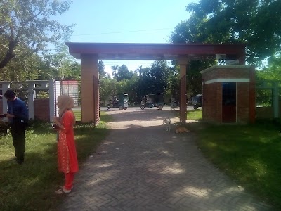 school