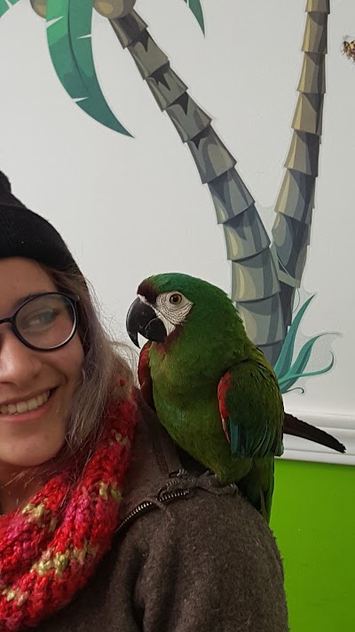 Photos of HEVM HOSPITAL VETERINARIO MOTAMASCOTA