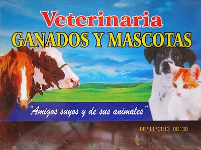 veterinary-care