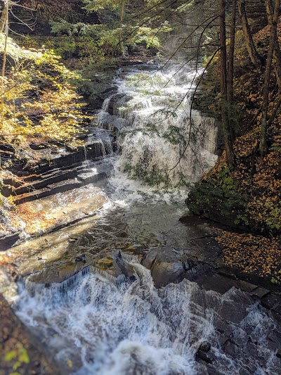 Fillmore Glen State Park