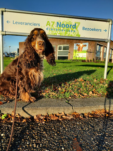 A7 Noord dierenartsen - Thumbnail