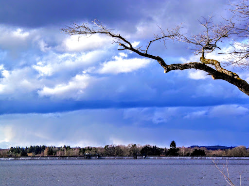 Reflets du lac - Thumbnail