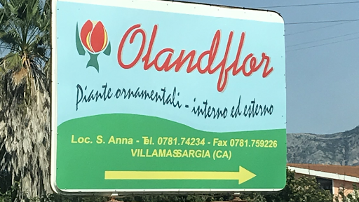 Olandflor - Thumbnail