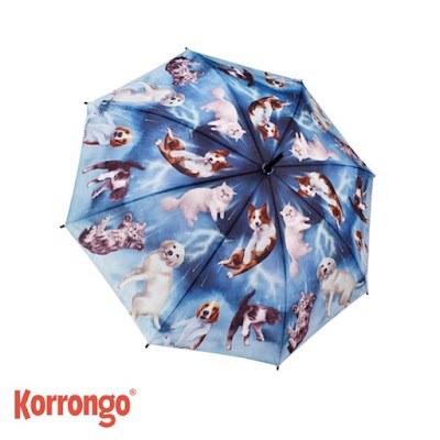 Photos of Korrongo.com
