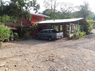 Photos of Comedor Lety