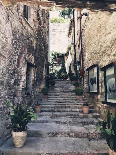 Photos of Hotel Lieto Soggiorno