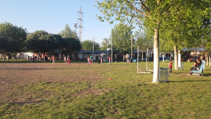 Polideportivo Municipal Las Catonas, Author: Marcela Garcia